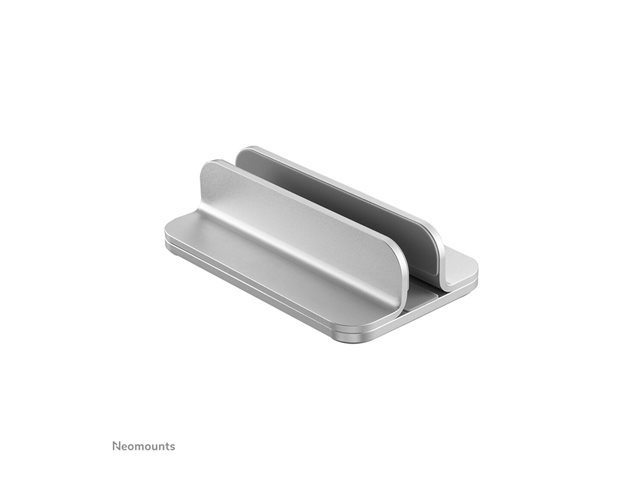 NSLS300SILVER td1