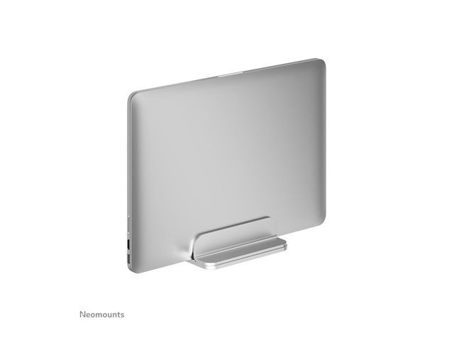 NSLS300SILVER td3