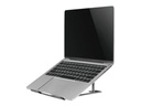NSLS085GREY td2