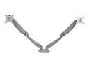 ARMSLIMDUOS td2